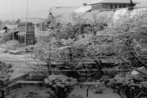 Bilde av Hjertnespromenaden 1